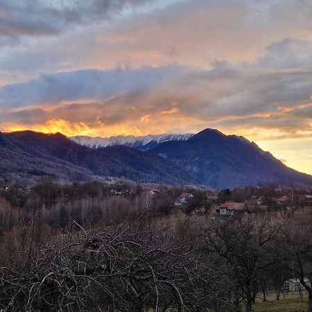 Вилла Bran Hill Экстерьер фото